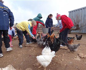 Bathurst Farm Experience - Accommodation Bookings 2