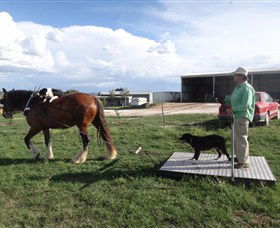 Bathurst Farm Experience - Accommodation Bookings 6