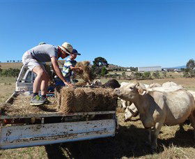 Bathurst Farm Experience - Accommodation Bookings 5