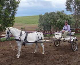 Bathurst Farm Experience - Accommodation Bookings 8