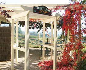 Blue Hills Berries & Cherries - Accommodation Bookings 1