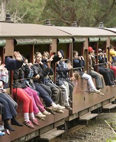 Puffing Billy Steam Railway - Accommodation Bookings 1