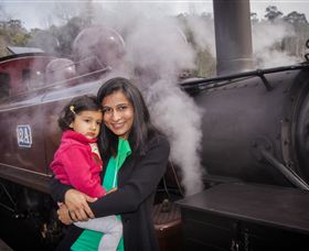 Puffing Billy Steam Railway - Accommodation Bookings 2