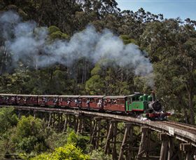 Puffing Billy Steam Railway - Accommodation Bookings 0