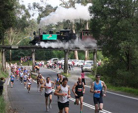 Puffing Billy Steam Railway - Accommodation Bookings 7