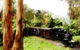Puffing Billy Steam Railway - thumb 5