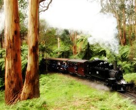 Puffing Billy Steam Railway - Accommodation Bookings 5