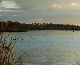 Lake Inverell Reserve - Accommodation Bookings 0