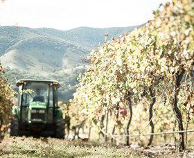 Logan Wines - Accommodation Bookings 5