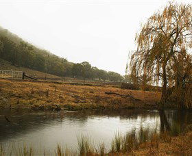 Logan Wines - Accommodation Bookings 6