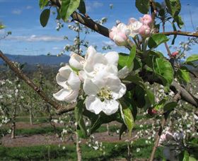 Kunama NSW Accommodation Bookings