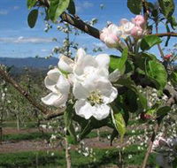 Mouat's Farm - Accommodation Bookings