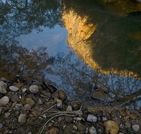 Abercrombie Karst Conservation Reserve - Accommodation Bookings