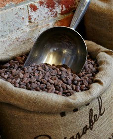 Bright Chocolate - Accommodation Bookings 5