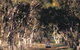 Albert Facey Heritage Trail - thumb 0