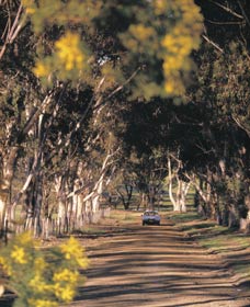 Albert Facey Heritage Trail - Accommodation Bookings 0