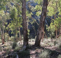 Mount Gray walking track - Accommodation Bookings