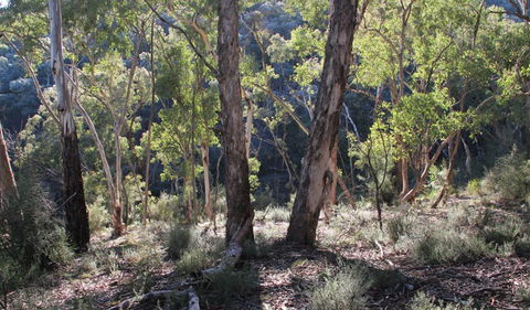 Mount Gray Walking Track - Accommodation Bookings 0