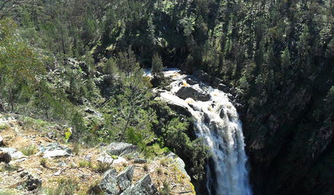 Grove Creek Falls Walking Track - Accommodation Bookings 0