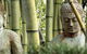 Zen Beauty Spa - thumb 0