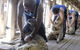 The Woolshed At Jondaryan - thumb 1