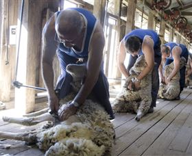The Woolshed At Jondaryan - Accommodation Bookings 1