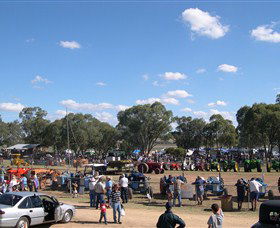 Quirindi Rural Heritage Village - Accommodation Bookings 0