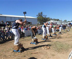 Quirindi Rural Heritage Village - Accommodation Bookings 1