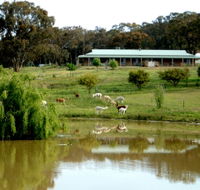 Clearview Alpacas - Accommodation Bookings