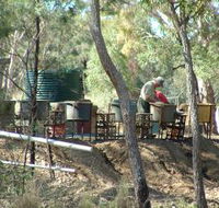 7 Oaks Sapphire Fossicking - Accommodation Bookings