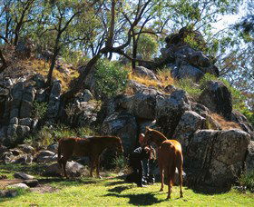 Accommodation Bookings