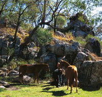 Coomba Falls - Accommodation Bookings