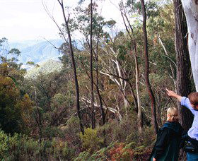 Hume And Hovell Walking Track - Accommodation Bookings 5