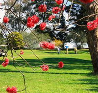 The Yass Golf Club - Accommodation Bookings