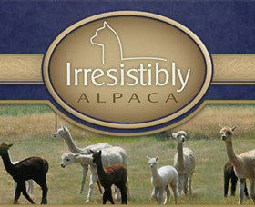 Marchmont Park Alpacas - Accommodation Bookings 0