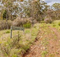 Old Mountain Road Walking Track - Accommodation Bookings