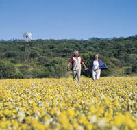 Koolanooka Springs - Accommodation Bookings