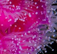 Yaringa Marine National Park - Accommodation Bookings