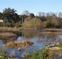 Coolart Wetlands and Homestead - Accommodation Bookings