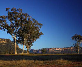 Capertee Valley Bird Trail - Accommodation Bookings 0