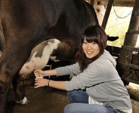 Warrook Farm - Accommodation Bookings 2