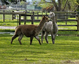 Warrook Farm - Accommodation Bookings 6