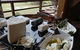 Jannei Artisan Cheese Makers - thumb 0