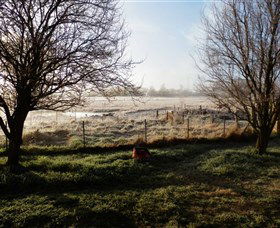 Jannei Artisan Cheese Makers - Accommodation Bookings 2