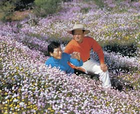 Canna Reserve - Accommodation Bookings 3