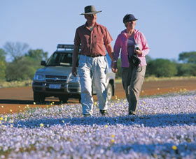 Canna Reserve - Accommodation Bookings 2