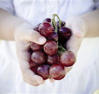 Granitevale  Estate Winery - Accommodation Bookings