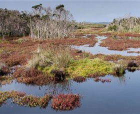 French Island National Park - Accommodation Bookings 0