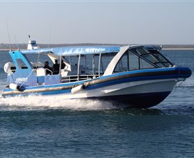 Phillip Island Nature Parks - Accommodation Bookings 2