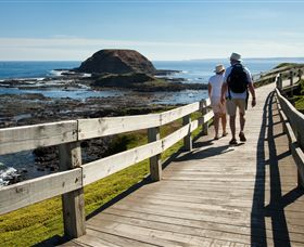 Phillip Island Nature Parks - Accommodation Bookings 3